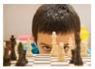 Jogo de xadrez ensina... 